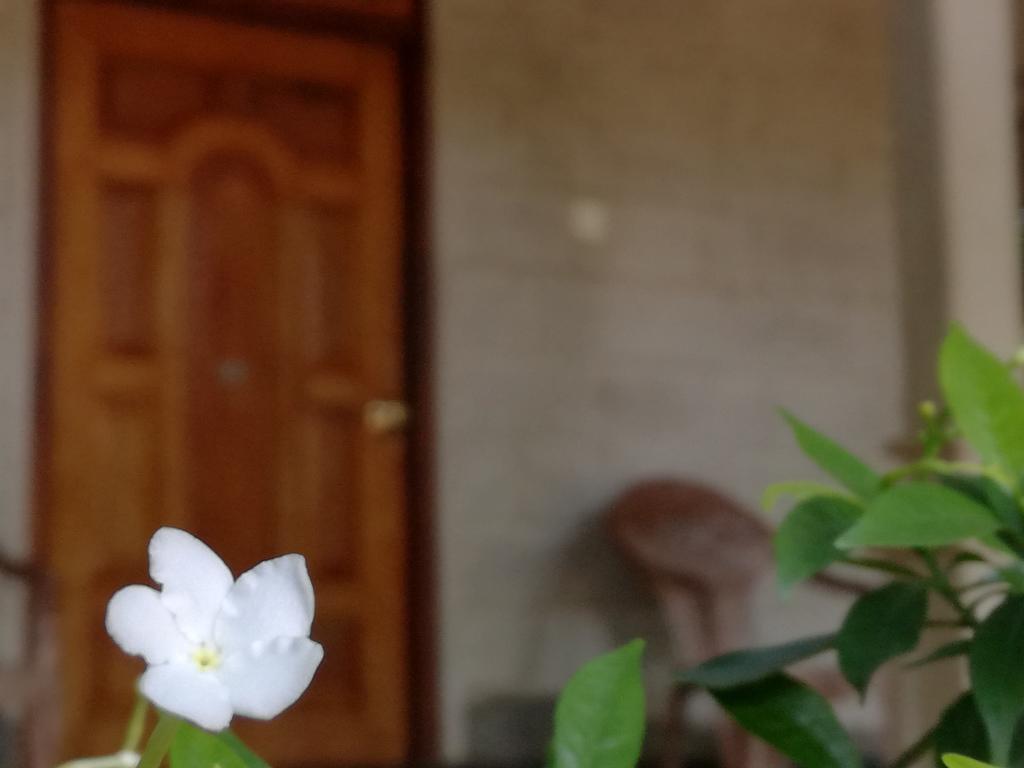 Gabaa Resort & Spa - هاباران المظهر الخارجي الصورة